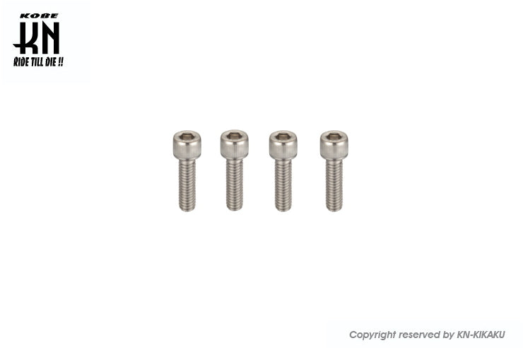 ヘックスステンレスボルト 【M6-15mm】 4本