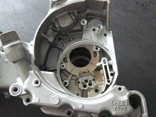 TTMRC シグナスX/BWS125 クランクケース加工【受注品】