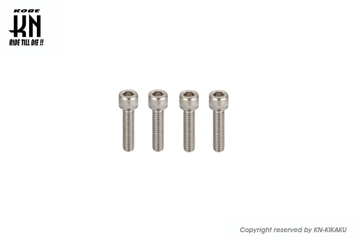 ヘックスステンレスボルト 【M6-45mm】 4本