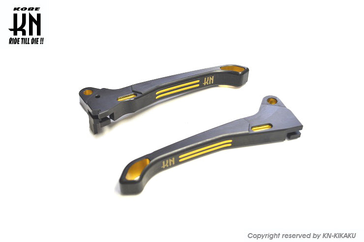 デュアルカラーレバードラム2 ディオ/スーパーディオ【AF18/27】ゴールド