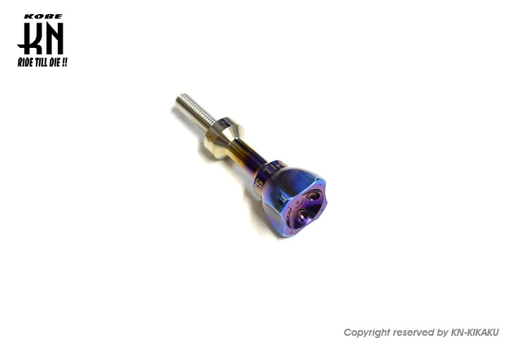 GOPRO用 フィッティングスクリュー【チタンカラー】ステンレス