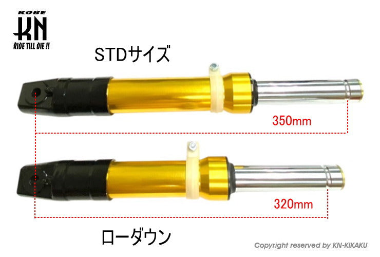 ローダウンフロントフォーク【ディオ系DISK】ブラック/ブラック