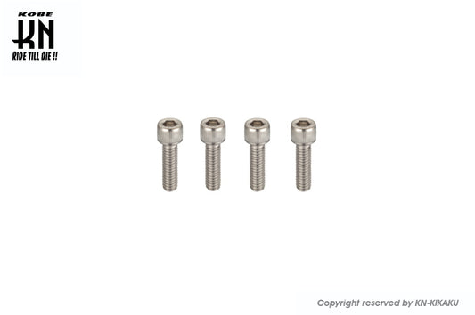 ヘックスステンレスボルト 【M6-35mm】 4本