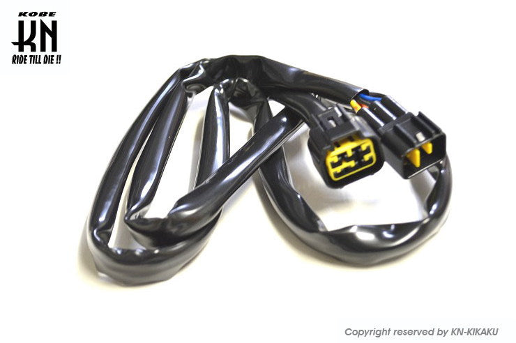 aRacer(アレーサー)【接続ハーネス 1to1】6PINコネクター延長