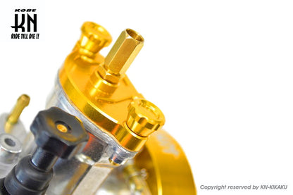 アルミCNCトップカバースクリュー【ゴールド】ビッグキャブ用