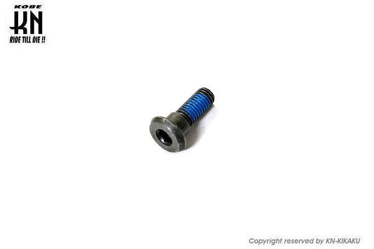 汎用ジャイロキャノピーフロントハブ専用【ディスクボルト】1個