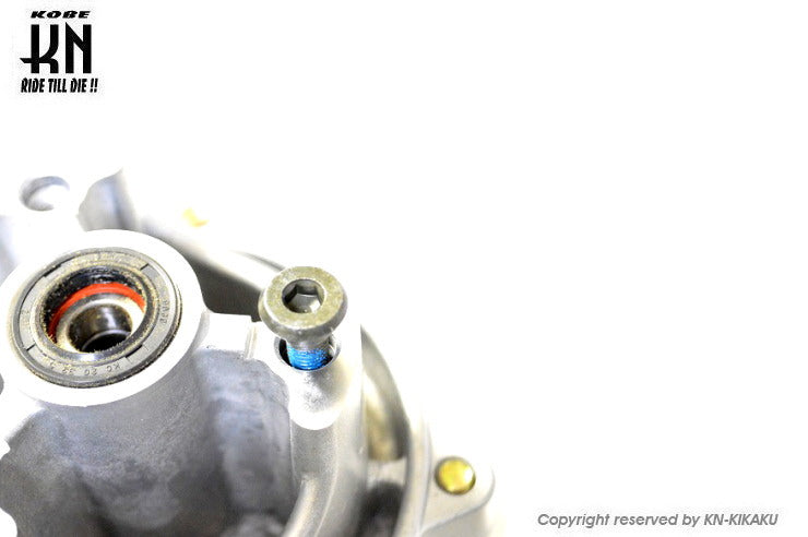 汎用ジャイロキャノピーフロントハブ専用【ディスクボルト】1個