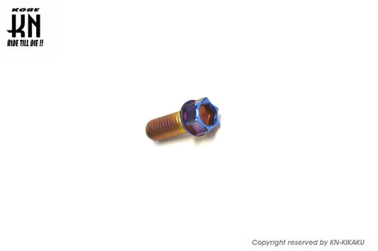 NCY ヘックスステンレスボルト 【M6-15mm】 1本【チタンブルー】