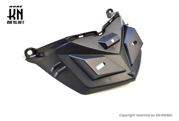 AR APEXX フェンダーレスキット シグナスGRYPHUS【6型】