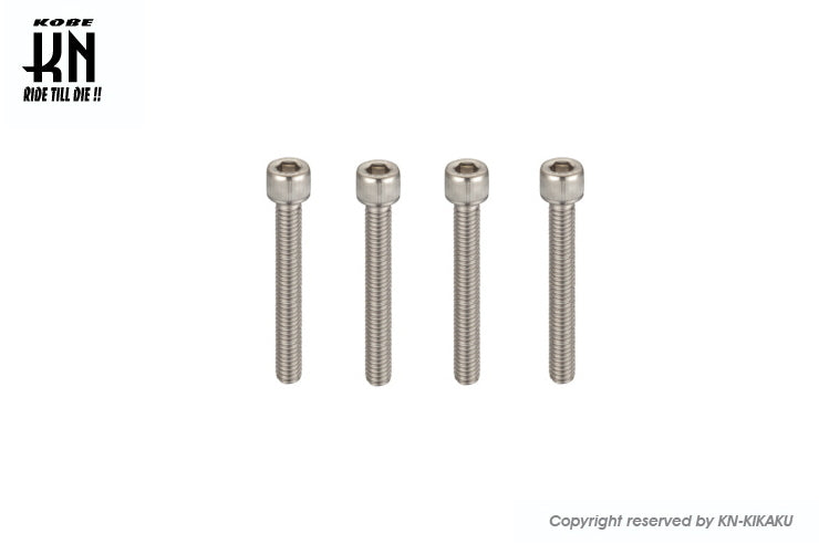 ヘックスステンレスボルト 【M6-60mm】 4本