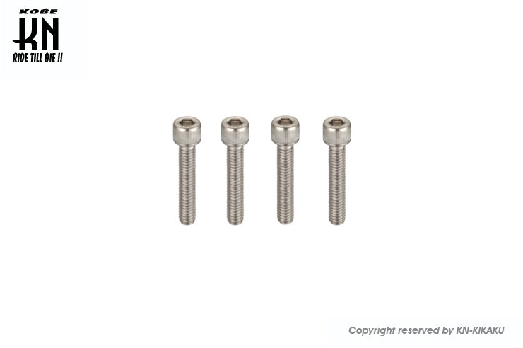 ヘックスステンレスボルト 【M6-50mm】 4本