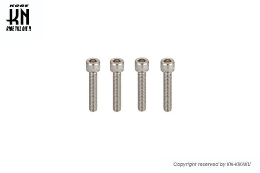 ヘックスステンレスボルト 【M6-50mm】 4本