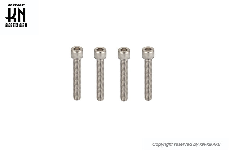 ヘックスステンレスボルト 【M6-55mm】 4本