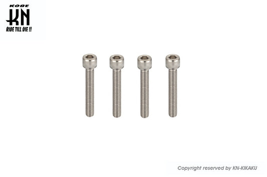 ヘックスステンレスボルト 【M6-55mm】 4本