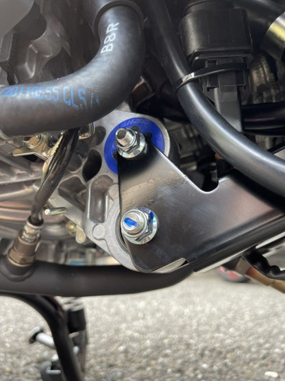 SHARKFACTORY エンジンハンガー強化ブッシュ【リアサス適正化】【シグナスGRYPHUS(6型)/BWS125(3型)/NMAX125/155(2型V2)】