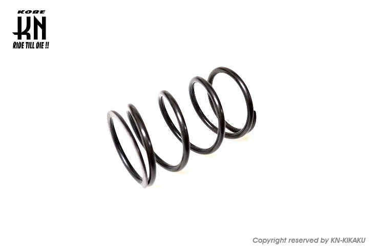 KN4000RPM センタースプリング【シグナスX/BWS】