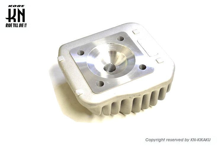 ディオ系 ヘッド HOA01-0 専用ヘッド ボア【49mm】