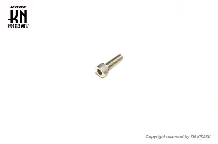 ヘックスステンボルト【M8/頭下25mm/1.25ピッチ】1個【逆ネジ】