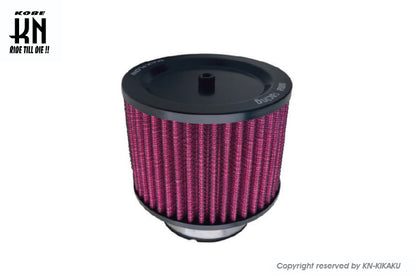 UmaRacing 汎用ビッグキャブ用　パワフィル【55mm】