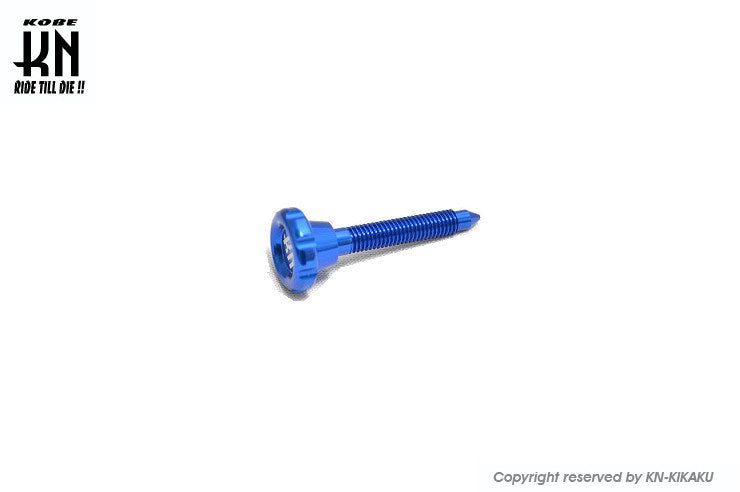 アルミCNCアイドルスクリュー【ブルー】PWK28用