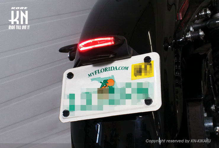 LEDテールキット【GT-01】レッドレンズ【Eマーク付】