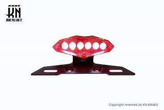 ZOOMER　LEDテールアッセン　【クリアーレンズ】